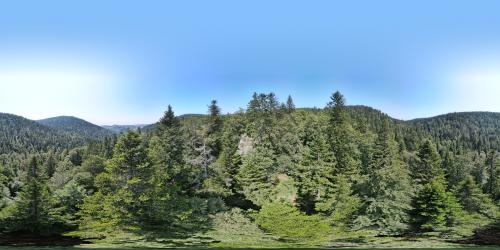 DJI_3677.JPG